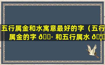 五行属金和水寓意最好的字（五行属金的字 🌷 和五行属水 🦉 的字组成的名字）